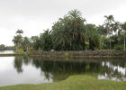 Ботанический сад тропических растений Фэйрчайлда в Майами (США)