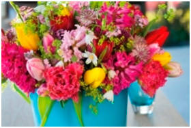 Тюльпаны, гиацинты, белоцветник, лук декоративный