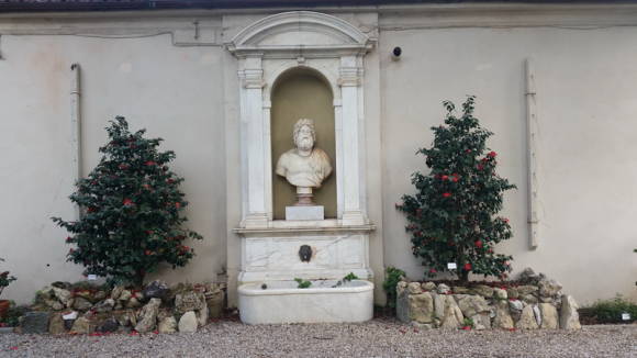 Ботанический сад университета Флоренции Giardino dei Semplici. Мраморный бюст Эскулапа