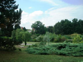 Участок ботанического сада Словацкого аграрного университета в Нитре