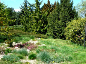 Участок ботанического сада Словацкого аграрного университета в Нитре