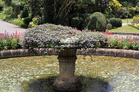 Шри-Ланка. Королевский ботанический сад в Канди