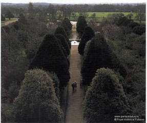 Хемптон Корт. Собственный сад. Самый великолепный вид - от середины склона. Пирамидальные тисы - такими они были триста лет назад