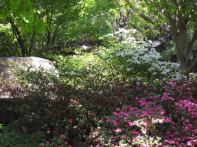 Парк Planten un Blomen. Японский сад