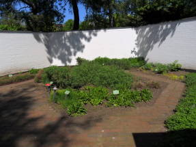 Парк Planten un Blomen. Аптекарский огород