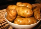 Трудный путь к признанию или История картофеля в Европе