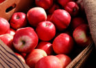 Старинные рецепты зимнего хранения яблок
