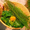 Салат из листьев одуванчика