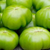 «Капрезе» из зеленых помидоров, жареных на гриле 