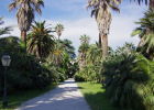 Ботанический сад Римского университета