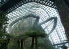 Сингапур: Сады у залива, облачный лес