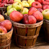 День яблока / Apple Day of USA