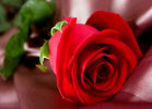 День святого Валентина для влюбленных всего мира