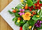 Цветы – изысканный ингредиент летней кухни