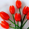 Фаршированные томаты «Тюльпаны к 8 марта»