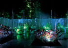 Цвет днем и ночью. Впечатления от выставки в саду Шомо-сюр-Луар 2009