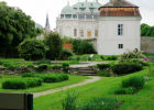 Венский ботанический сад