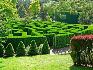 VanDusen Botanical Garden maze Vancouver