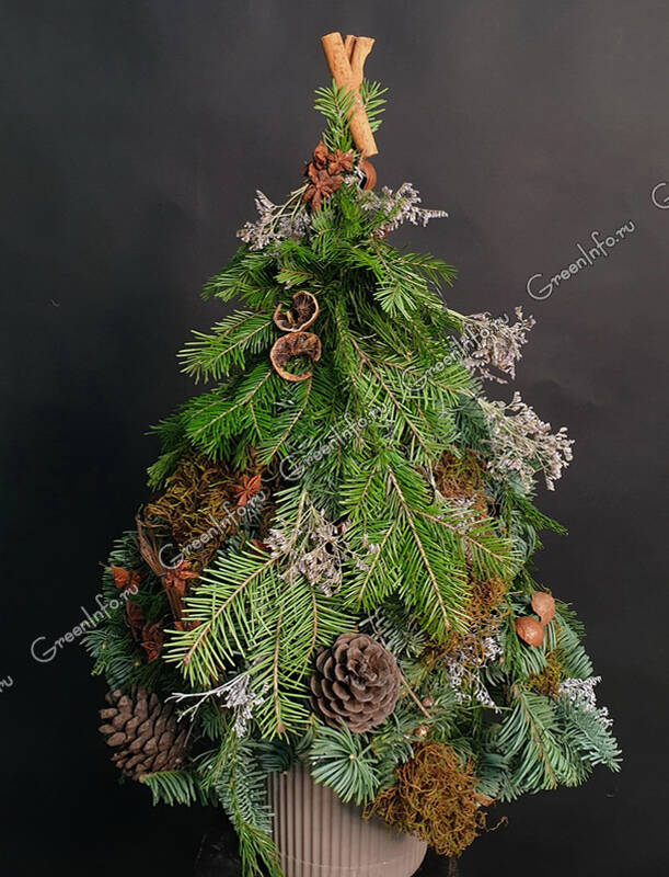 Публикация «Новогодняя елка из сетки и ткани для декорирования цветов» размещена в разделах