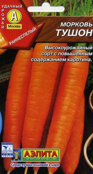 крупные сорта моркови для зимнего хранения