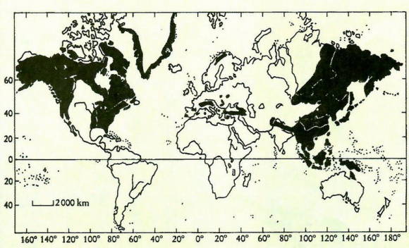 Географическое распределение рододендронов на планете