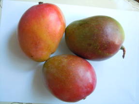 Плоды манго ассиметричны, 