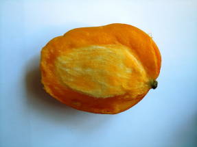 Разрезанное манго напоминает моллюска