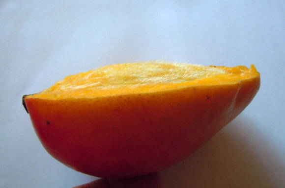 Волосистость косточки хорошо видна на боковом срезе плода манго