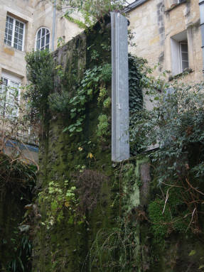 Хорошо видны несущая стена, подложка, «кармашки», живые и погибшие растения