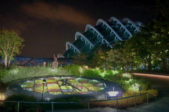Цветочный купол ночью