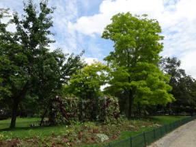 Парк Монсо. Зеленые стены