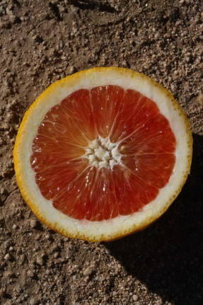 Апельсин Тарокко