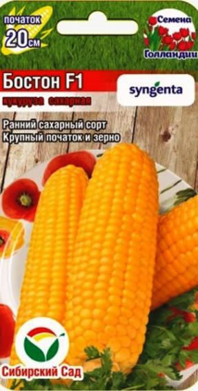 Скороспелые сорта кукурузы