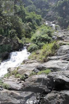 Шри-Ланка. Водопад Рована и окрестности