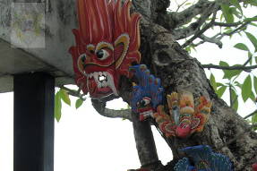 Шри-Ланка. Дерево Бо в храме Будды