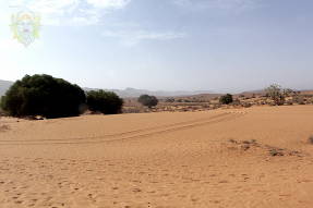 Марокко. Мини-Сахара