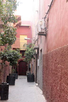 Марокко. Красный город Марракеш