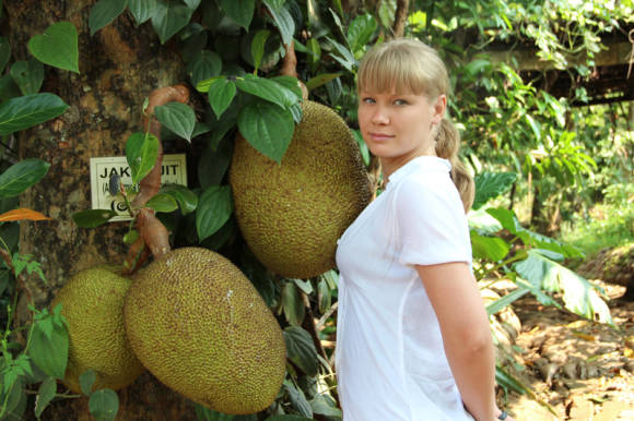Джекфрут (Jackfruit). Шри-Ланка. Фото: Алена Цыганкова