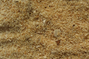 Рассадный субстрат из опилок с песком