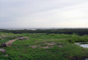 Панорама Финского залива у северной границы парка Александрия
