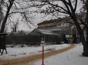 Ботанический сад Карлова университета в Праге