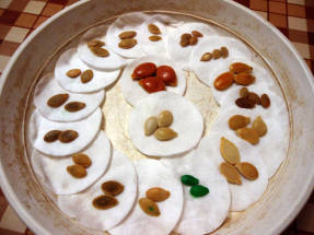Семена кабачков, патиссонов и тыквы на проращивании