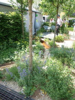 Climate Calm Garden