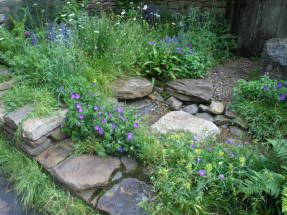 Naturally Dry - a William Wordsworth-inspired garden