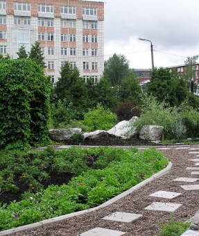 Пермский университет
и ботанический сад