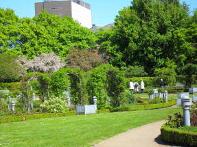 Парк Planten un Blomen. Лабиринт аптекарского огорода