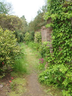 Стена огороженного сада
